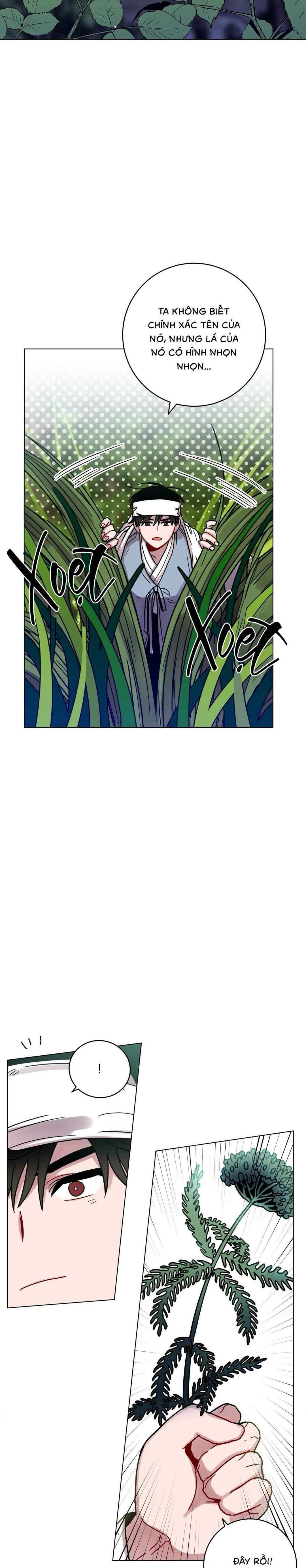 cơn mưa rào mùa hạ chapter 87 15