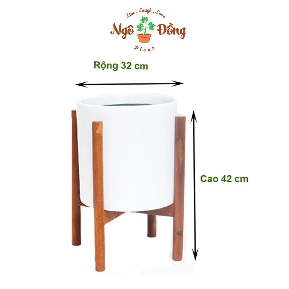 Đôn Kê Nâng Chậu Cây Cảnh Chậu Hoa 1 Tầng C42cm Bằng Gỗ Tràm Tự Nhiên Trang Trí Trong Nhà Ngoài Sân Vườn