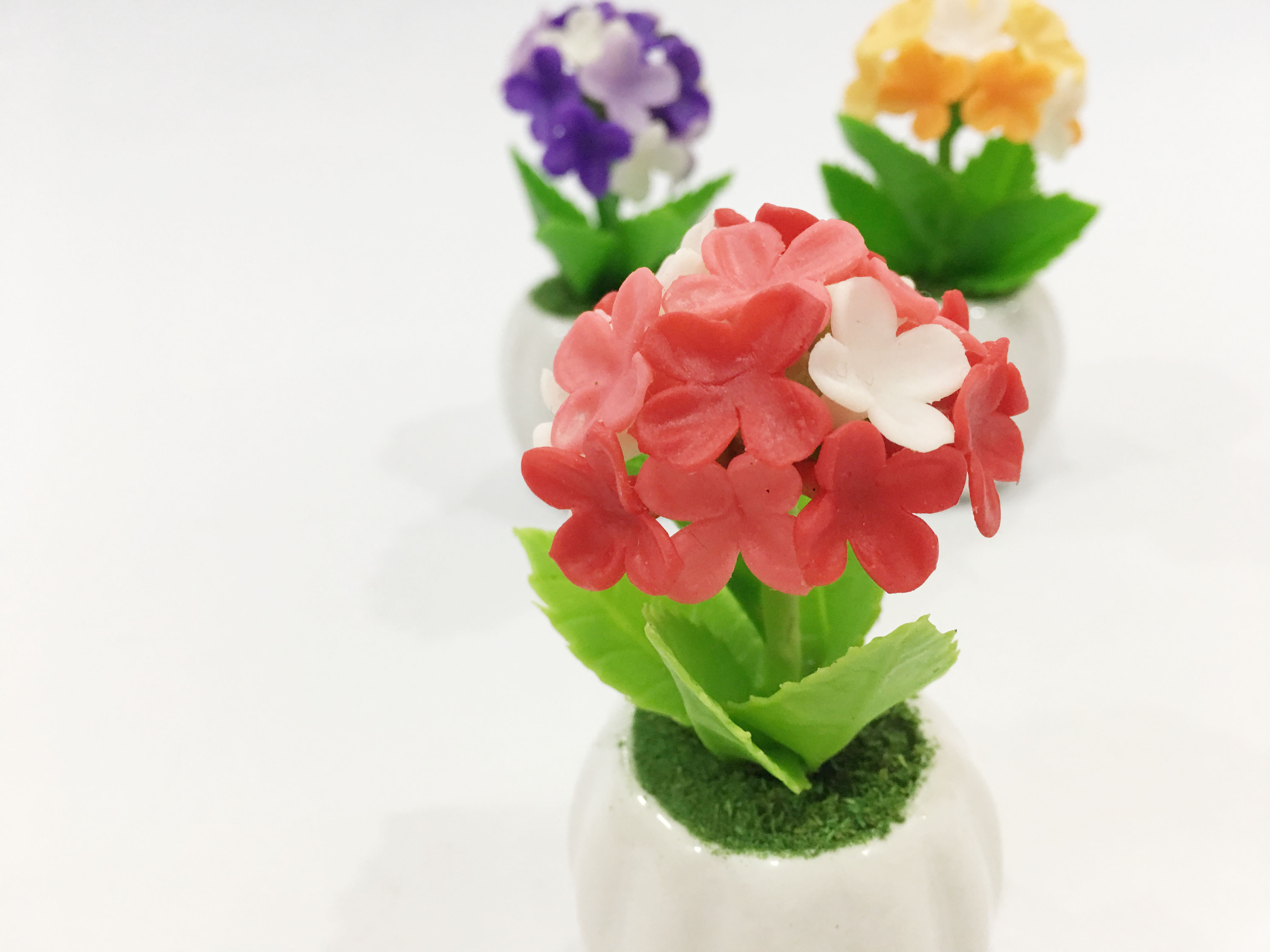 Chậu hoa đất sét mini - Cây hoa sống đời /cây lá bông  - Quà tặng trang trí handmade