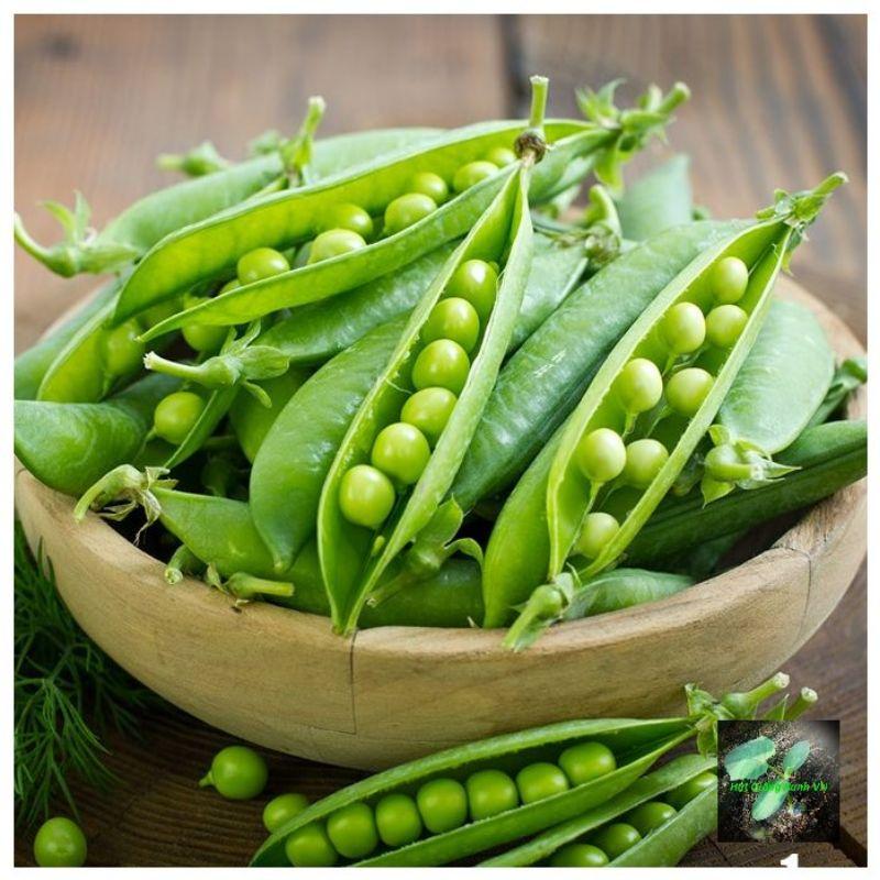 Hạt giống đậu Hà lan trồng lấy hạt, đóng gói 50gr