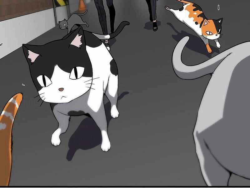 đấng cứu thế được chọn lựa chapter 8 154