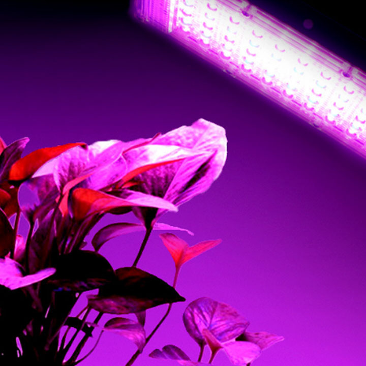 Đèn led pha chuyên cho trồng cây trong nhà 50W-220V50Hz