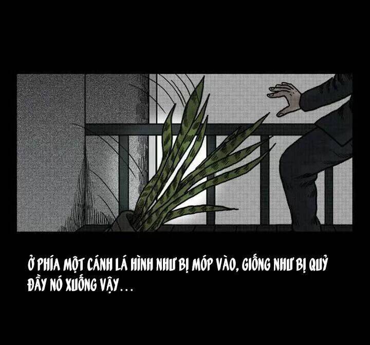 kỳ án có thật chapter 39 15