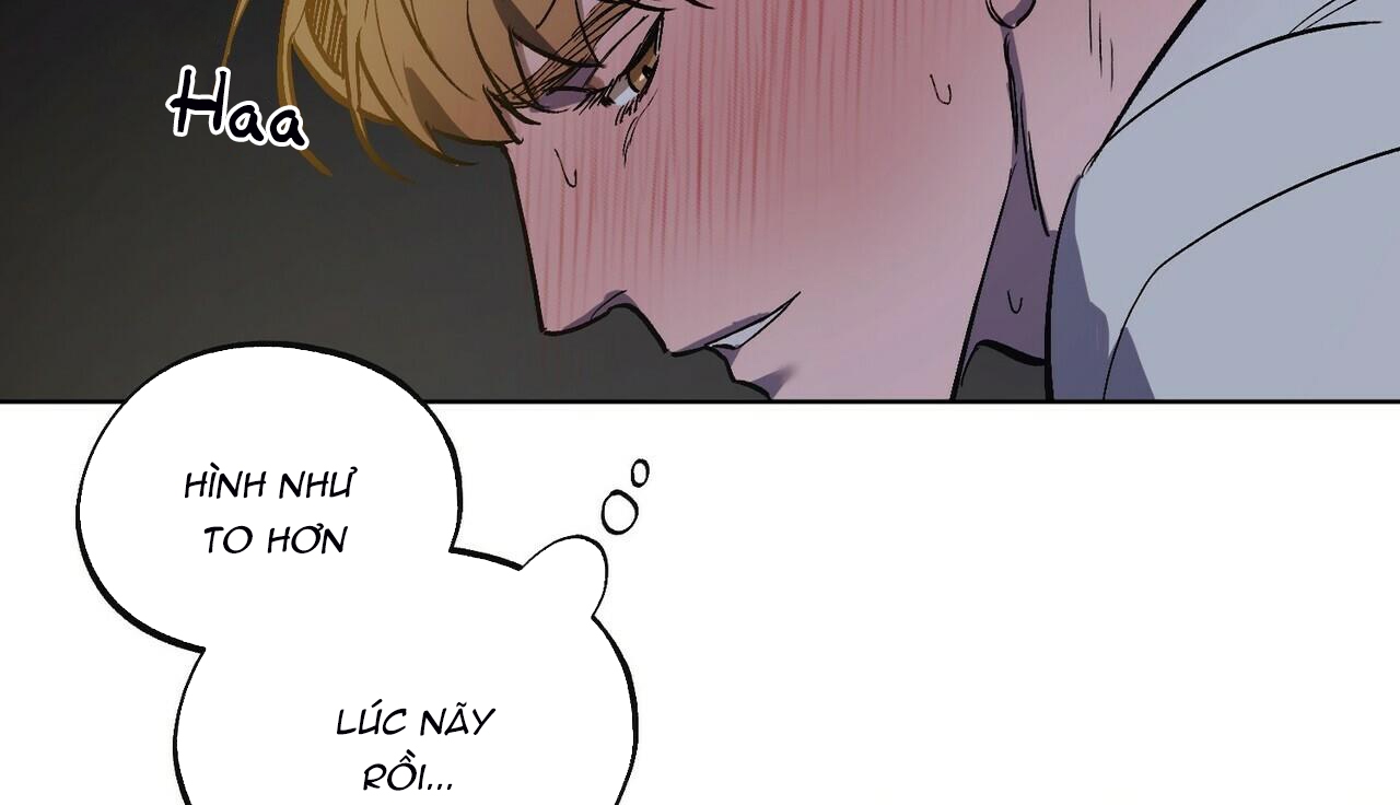 chàng dâu nhà họ kang chapter 22 69