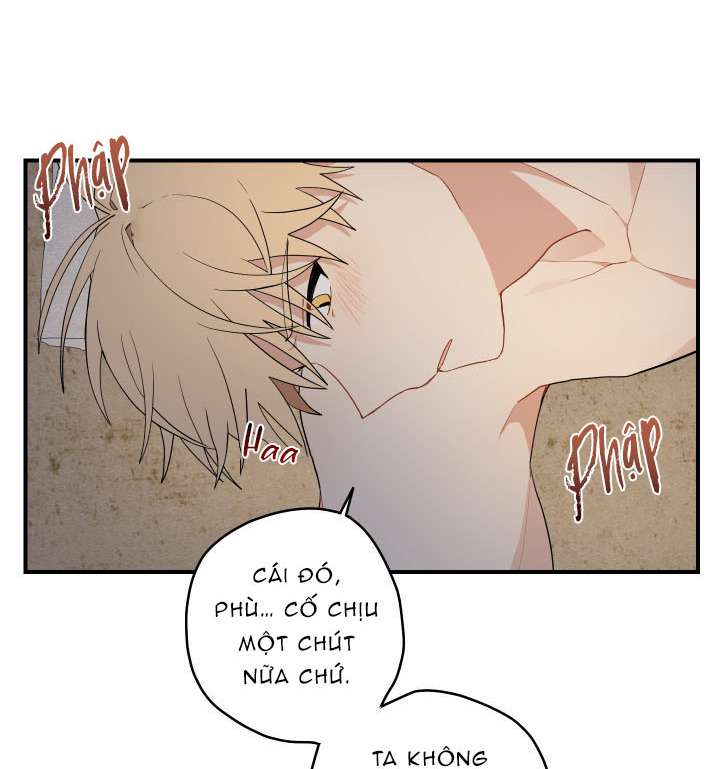 đường hoa liên kiều rơi chapter 16 19