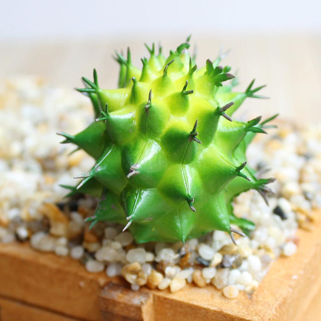 Cactus Artificial Plant Plastic Succulent Cactus Office Garden Home Plant #1