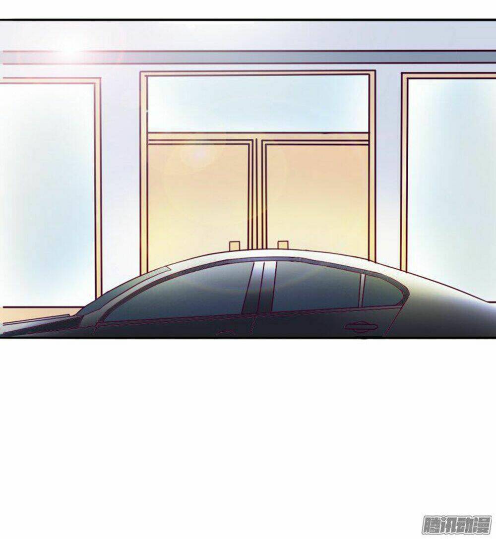 hai chú mèo totem chapter 3 12