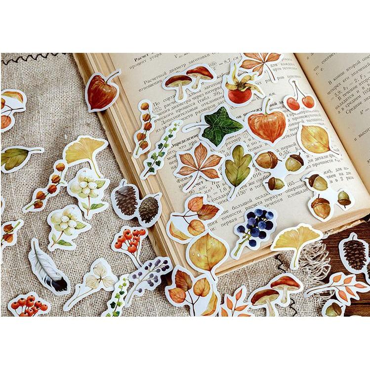 Bộ 46 Sticker Mùa Thu Vàng dán trang trí E46