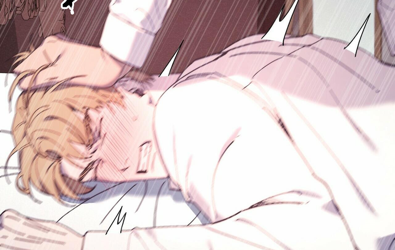 chàng dâu nhà họ kang chapter 28 66