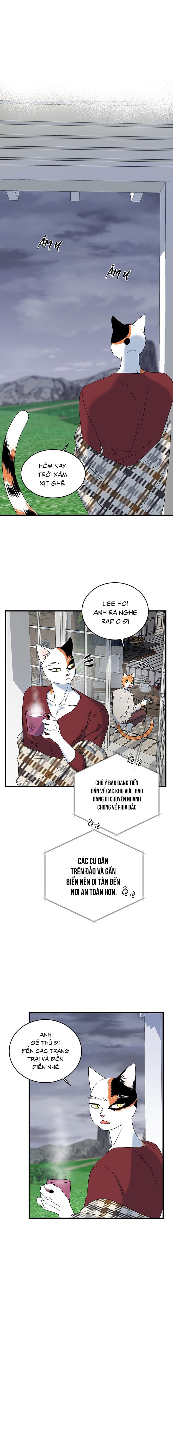 dự án xanh chapter 46 10