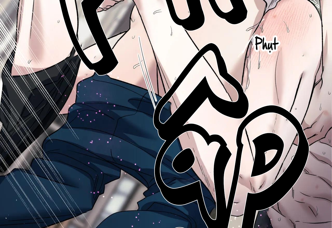 ám ảnh pheromone chapter 38 42