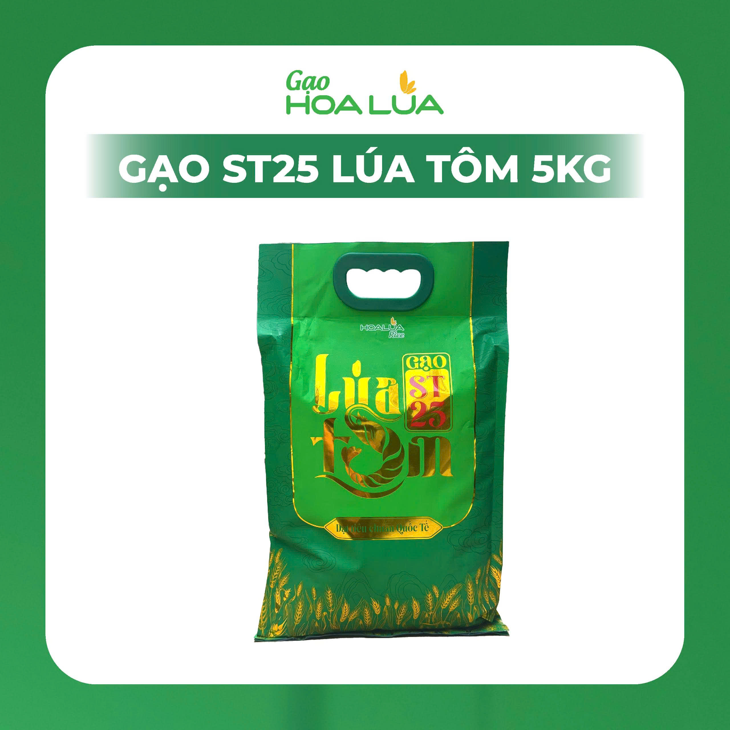 Gạo ST25 Lúa Tôm túi 5kg - Dẻo nhiều, mềm cơm, hương thơm đặc trưng (Sản phẩm mới)