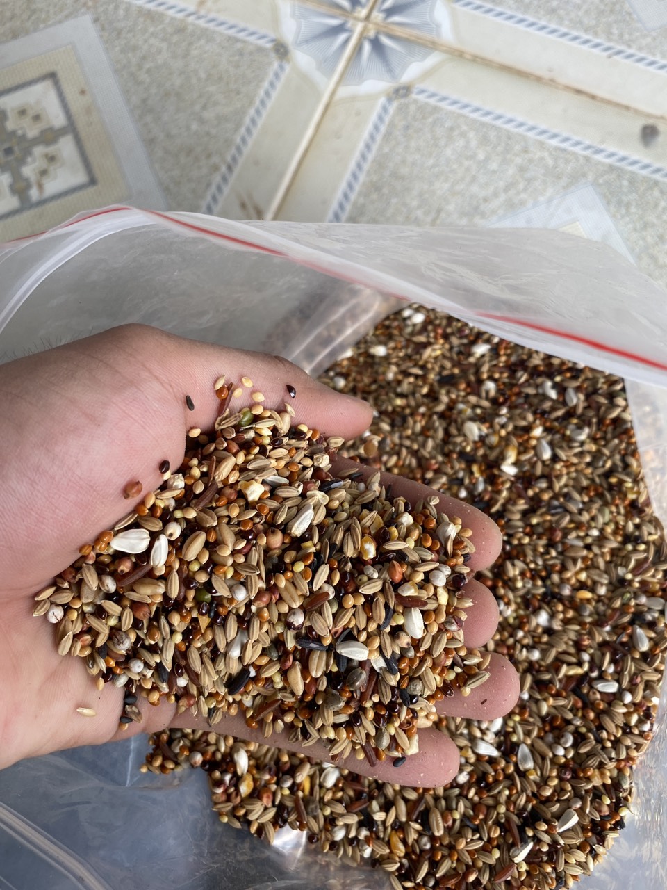 2kg hạt 15 loại ngũ cốc thiên nhiên 100% tăng cường dinh dưỡng giú chim cu cực sung