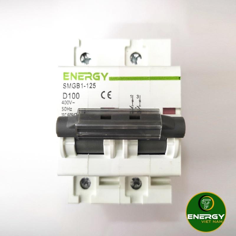 Aptomat MCB AC 2P 32A, 63A 6KA - 100A 10KA ENERGY - Thiết Bị Điện - 2P 100A ENERGY