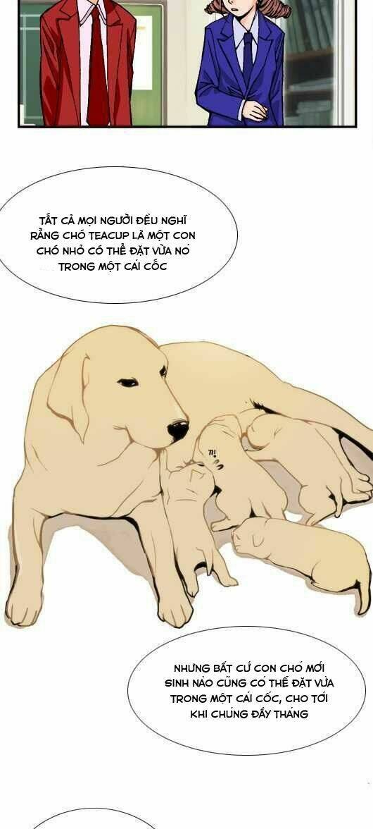 pet diary chapter 15.1 9