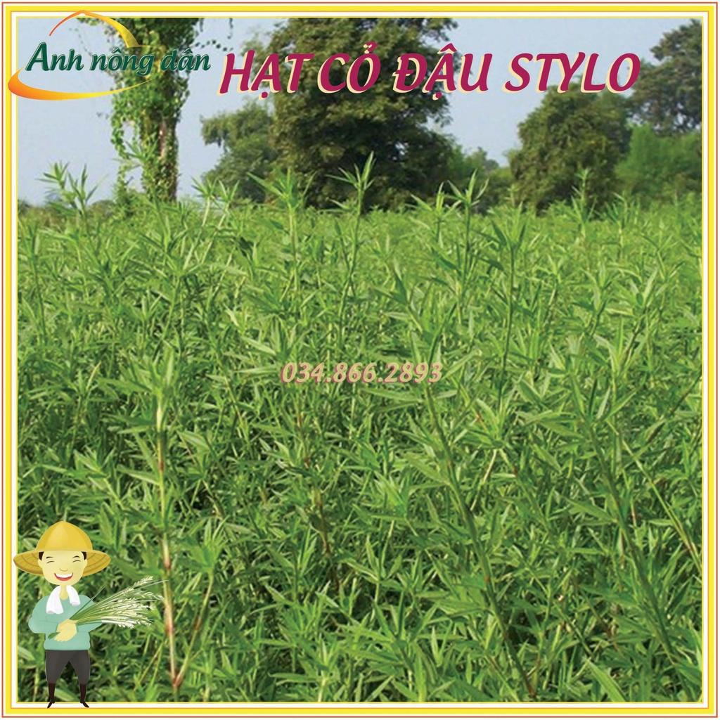 Gói 1kg Hạt giống cỏ đậu stylo giàu dinh dưỡng dùng cho chăn nuôi - Anh nông dân chính hiệu