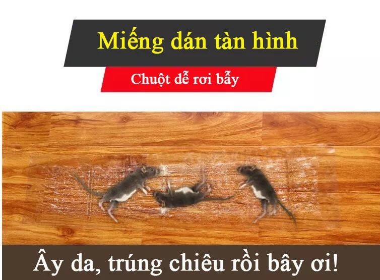 Keo dán chuột keo dính chuột keo bẫy chuột (Dài 1.2M)