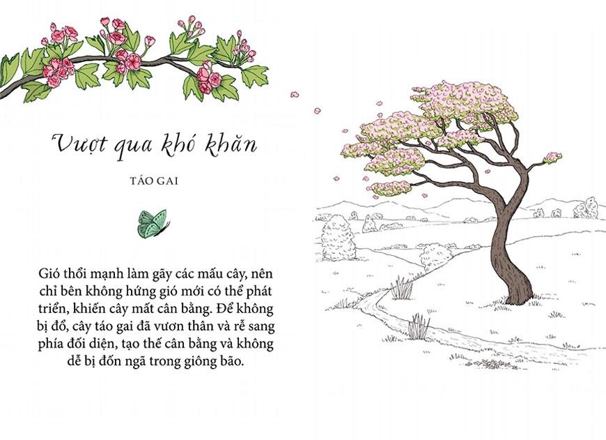 Sống Như Những Cái Cây - Những Bài Học Nhỏ Để Có Nguồn Hạnh Phúc Bất Tận (Tái Bản 2021)