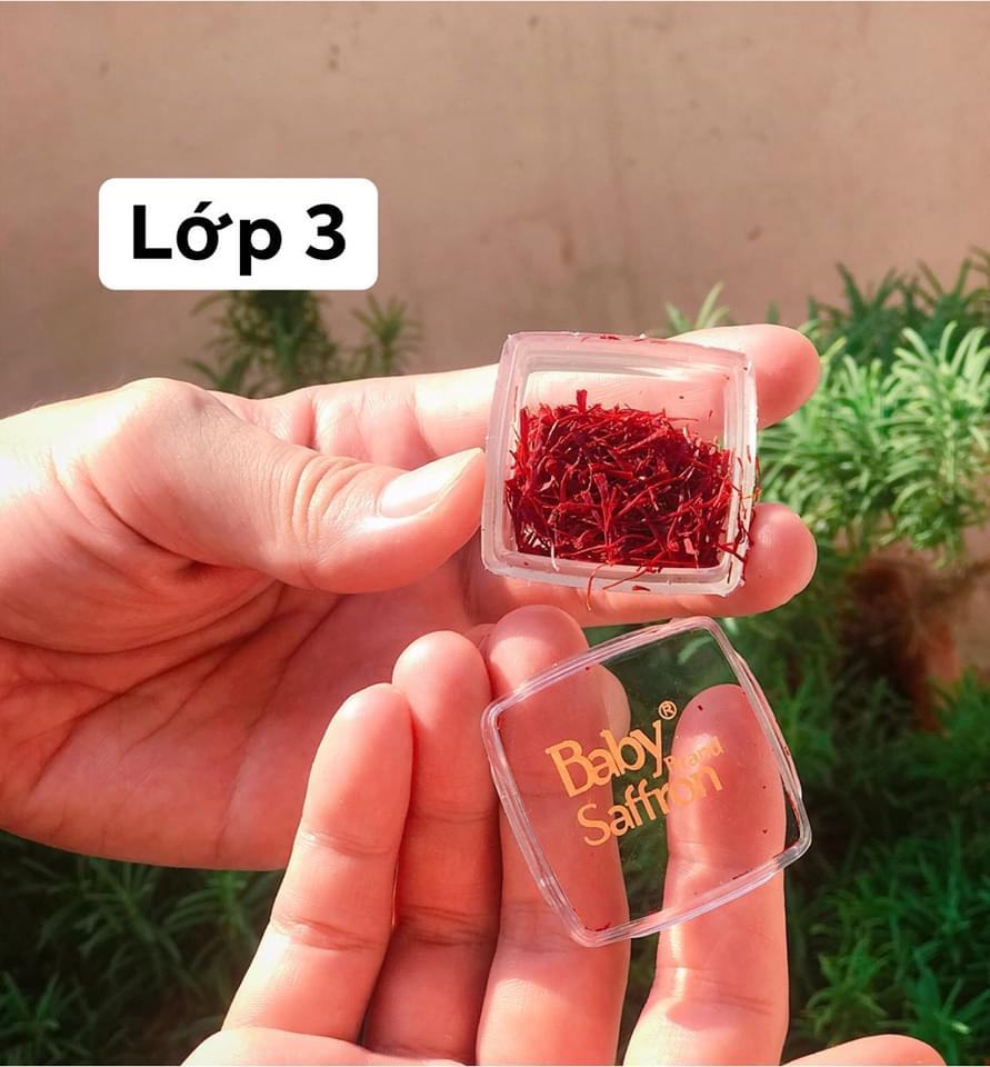 Nhụy Hoa Nghệ Tây Saffron Baby (3gr)