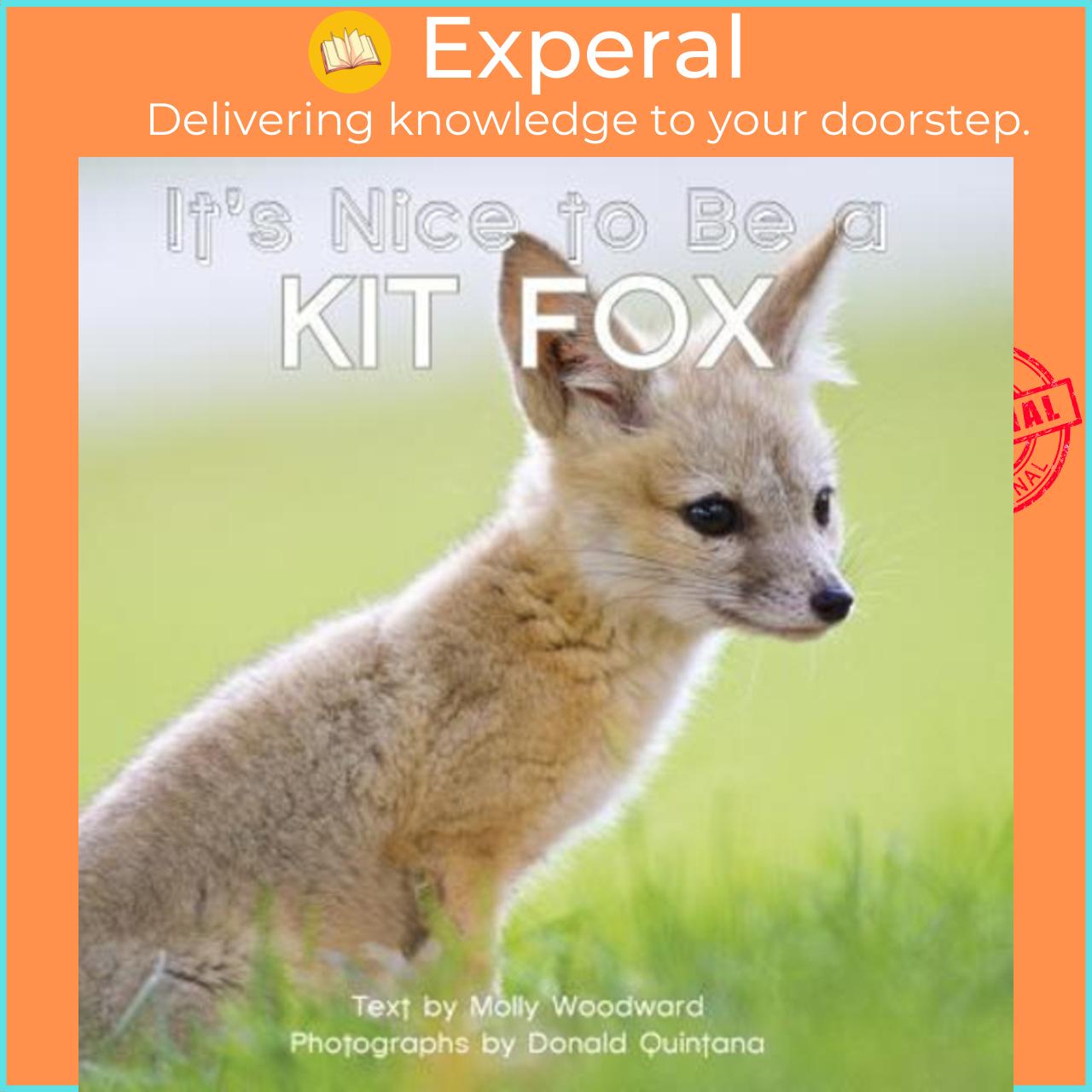 Sách - It's Nice to Be a Kit Fox by Molly Woodward Donald Quintana