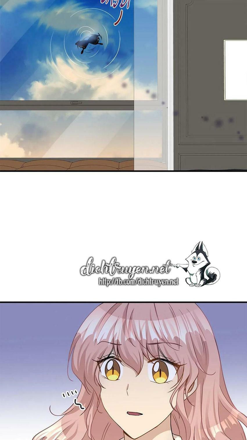 cuộc sống kỳ thú chapter 14 29
