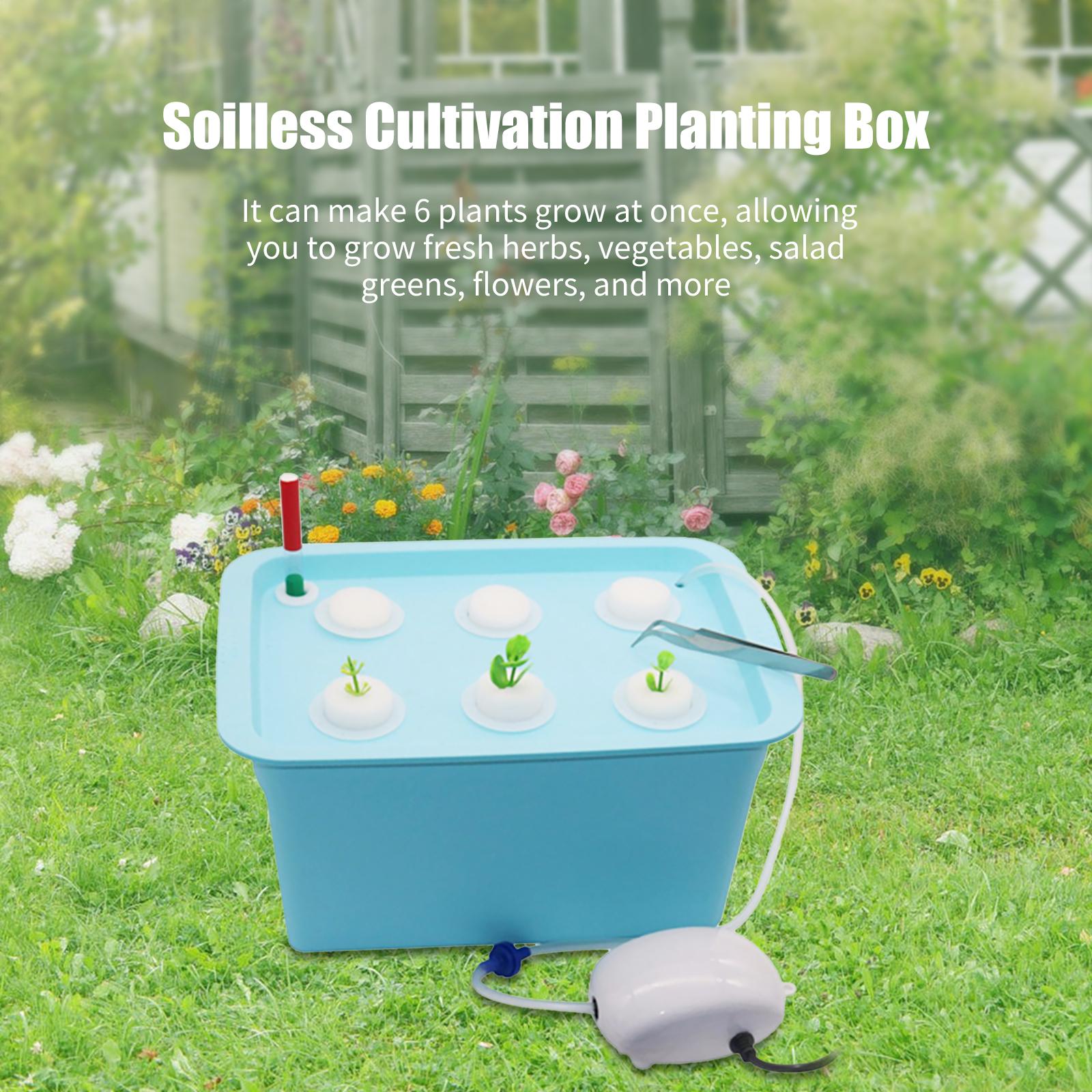 Hệ Thống Trồng Thủy Canh Trong Nhà