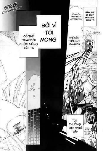 tổng hợp one shot. chapter 117 6