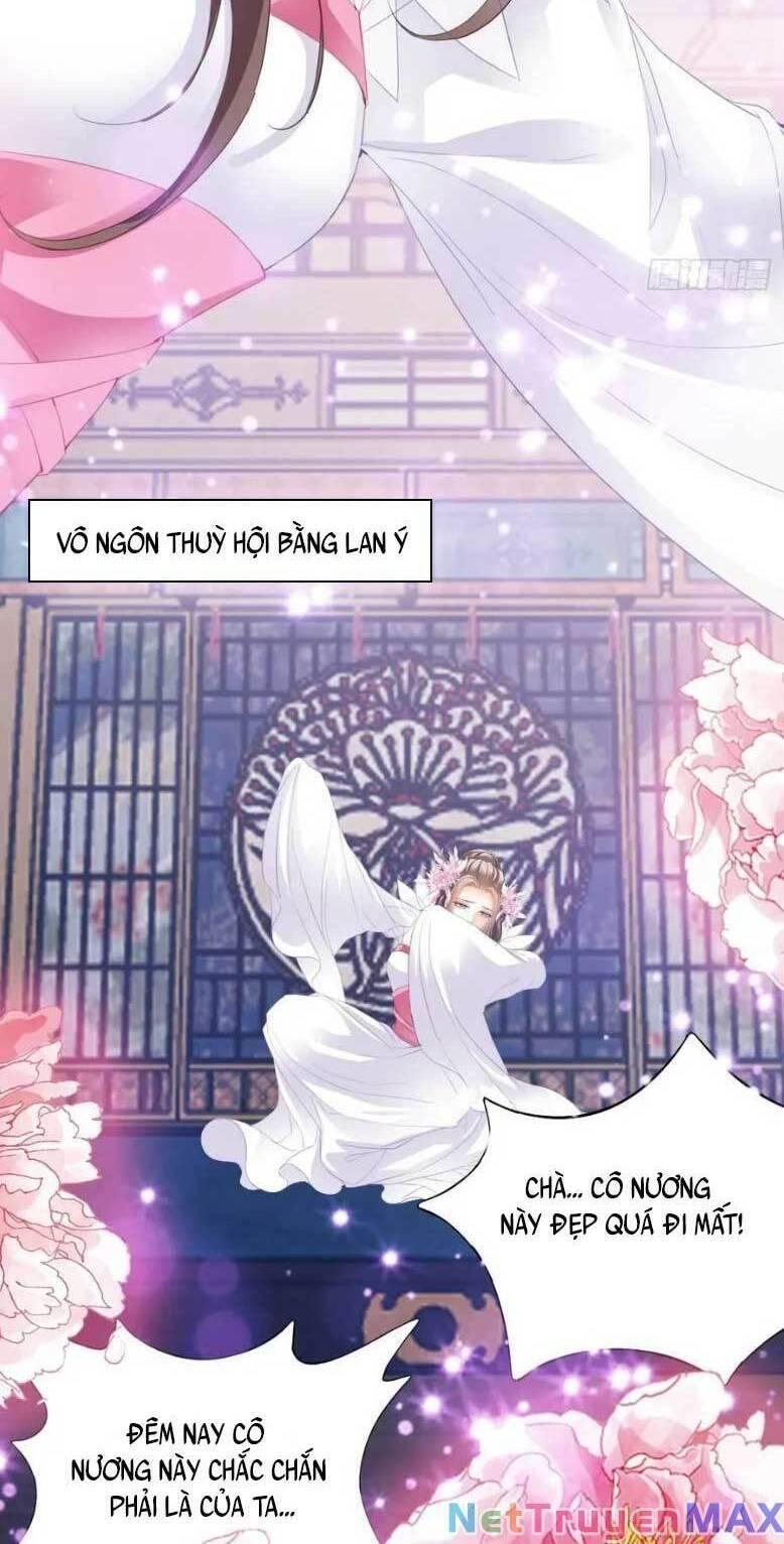 bổn vương muốn nàng chapter 204 16