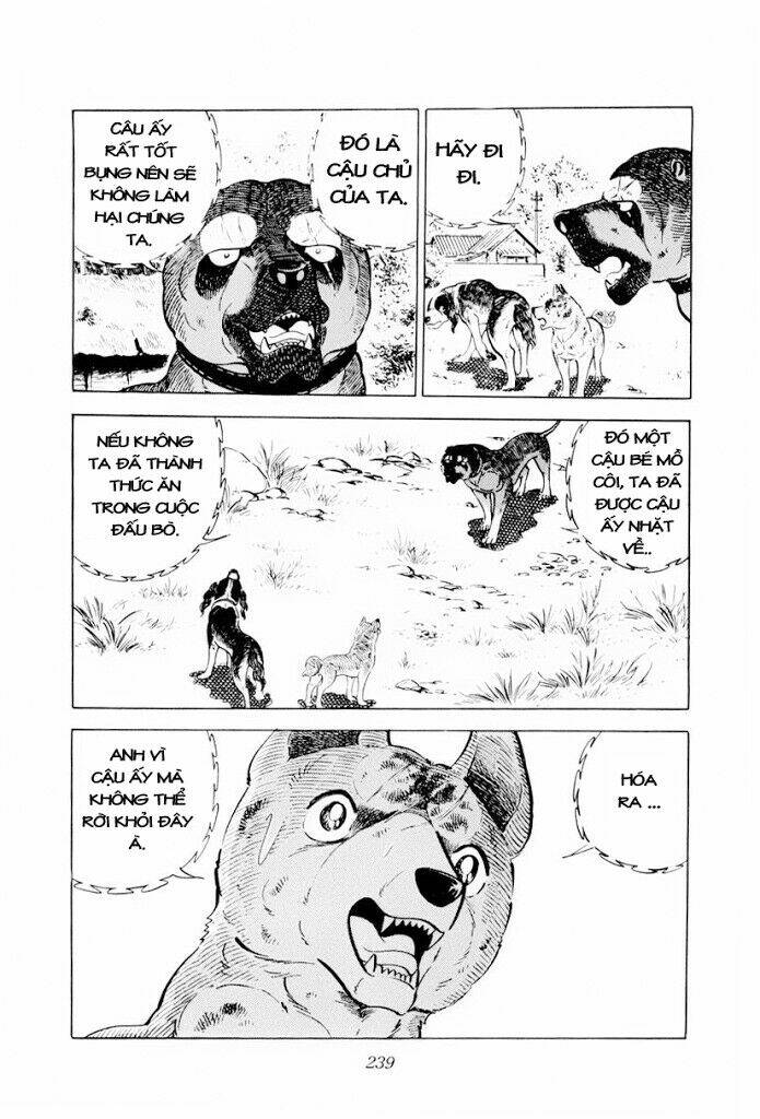 chú chó có nghĩa - ginga nagareboshi gin chapter 29.2 26