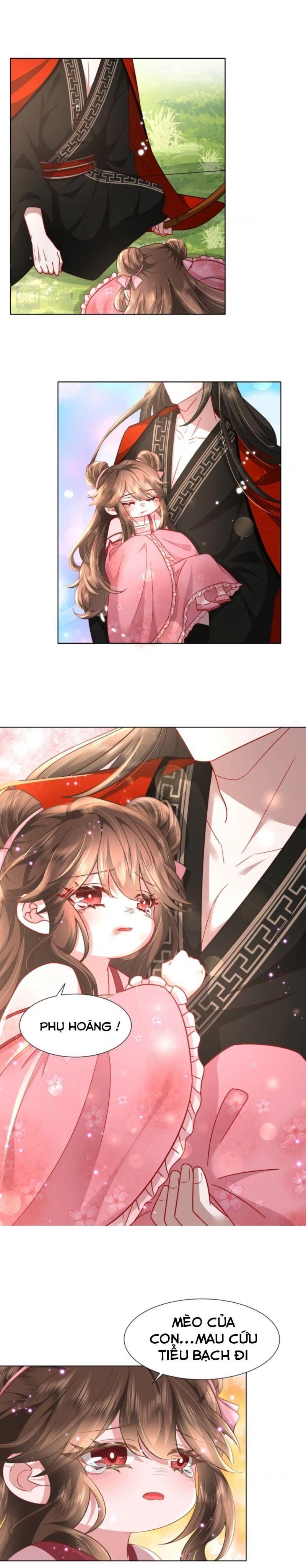 phương thức sinh tồn của công chúa pháo hôi chapter 5 9