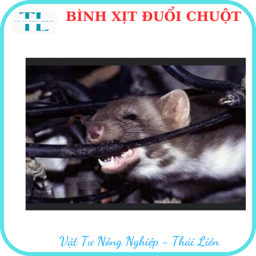 Chai Xịt Đuổi Chuột Thái Lan dành cho Nhà & Ô tô Rat Off 200ml