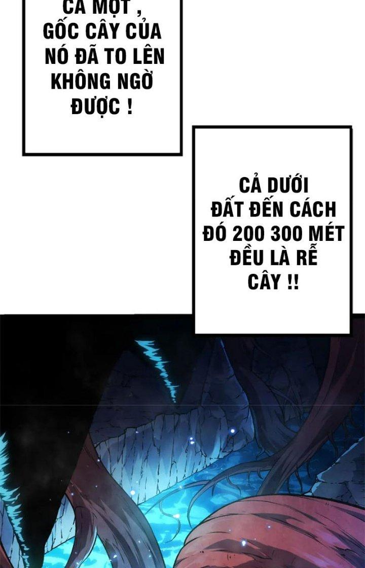 từ cây cổ thụ bắt đầu tiến hóa chapter 19 65