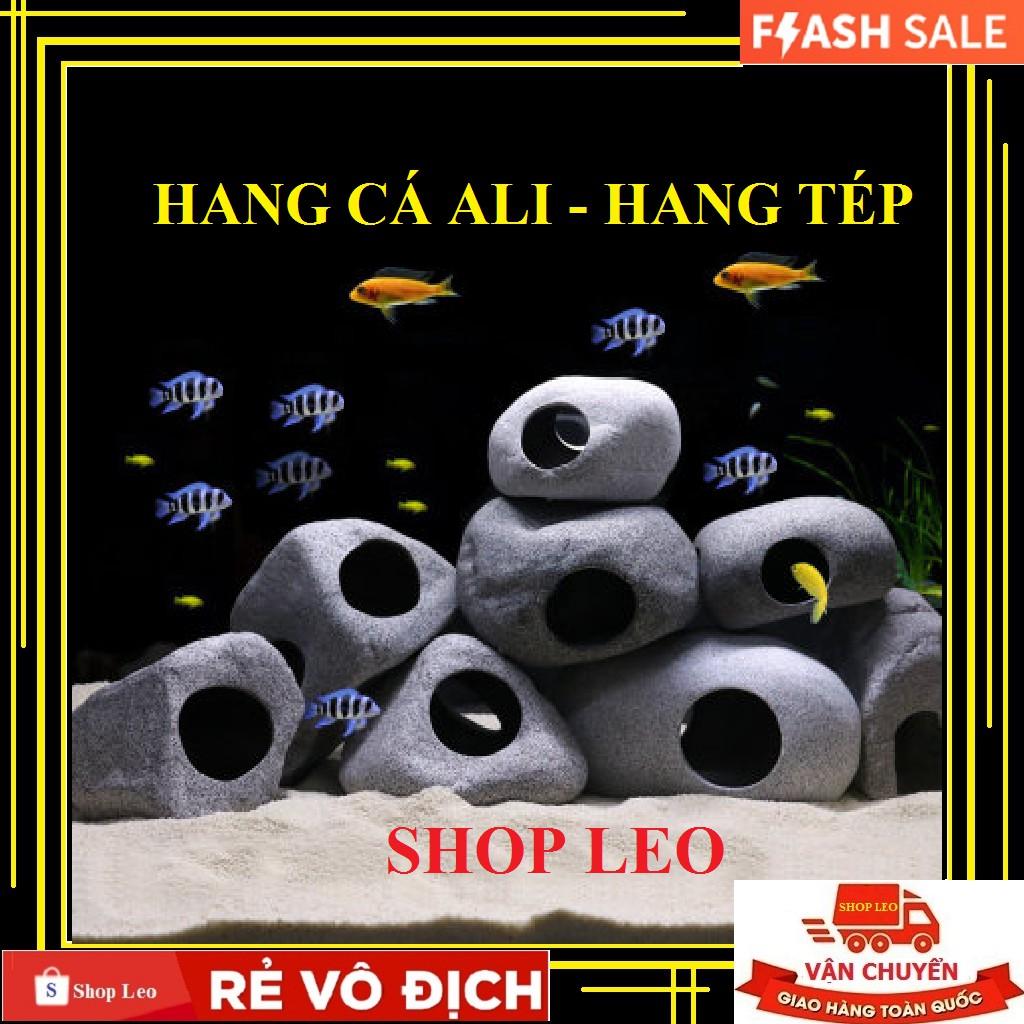 Hang cá ali ZS 1002 - hang pleco - trang trí bể tép - bể thủy sinh - hồ cá cảnh - biotop - bò sát