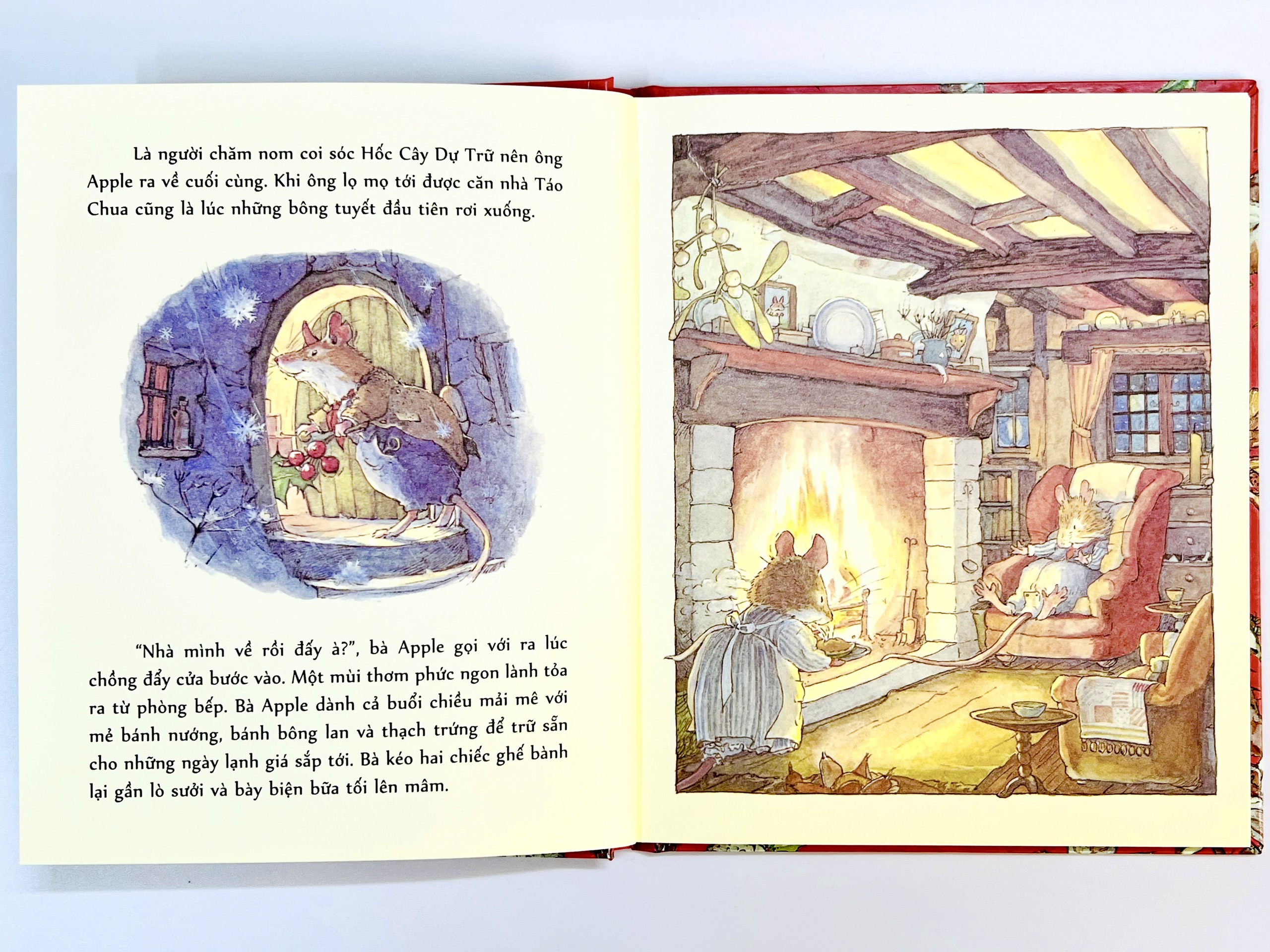 Sách - Boxset Miền Dâu Dại (Bộ 8 Cuốn) - Phiên Bản Đặc Biệt - Crabit Kidbooks - Bìa Cứng