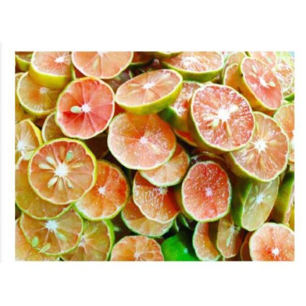 Cây giống chanh đào