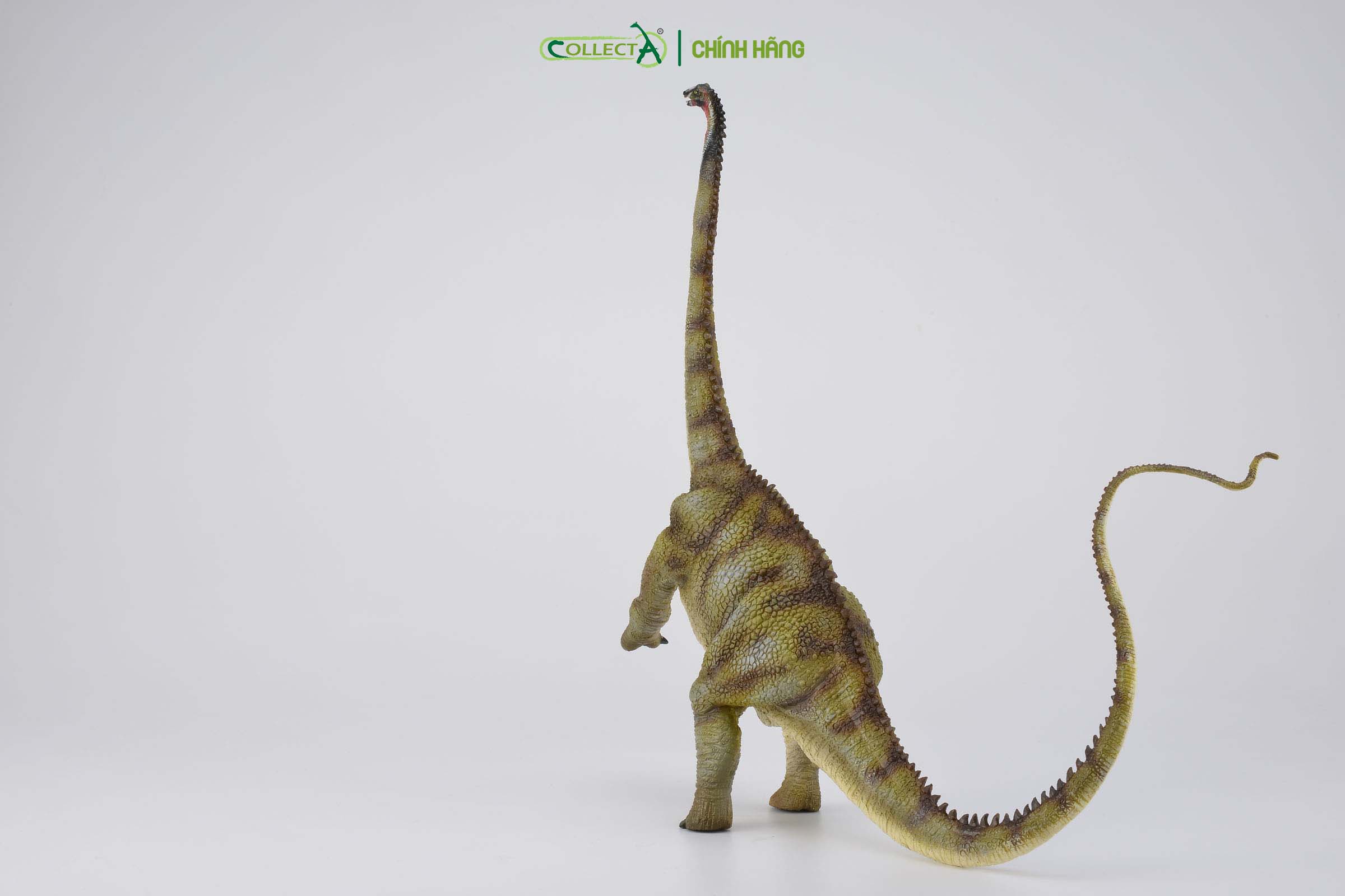 Mô hình thu nhỏ: Khủng Long Diplodocus - Diplodocus , hiệu: CollectA, mã HS 9654050 - Chất liệu an toàn cho trẻ - Hàng chính hãng