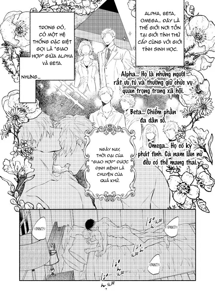 Hãy Ly Hôn Đi, Ngài Alpha chapter 1.1 - Trang 3