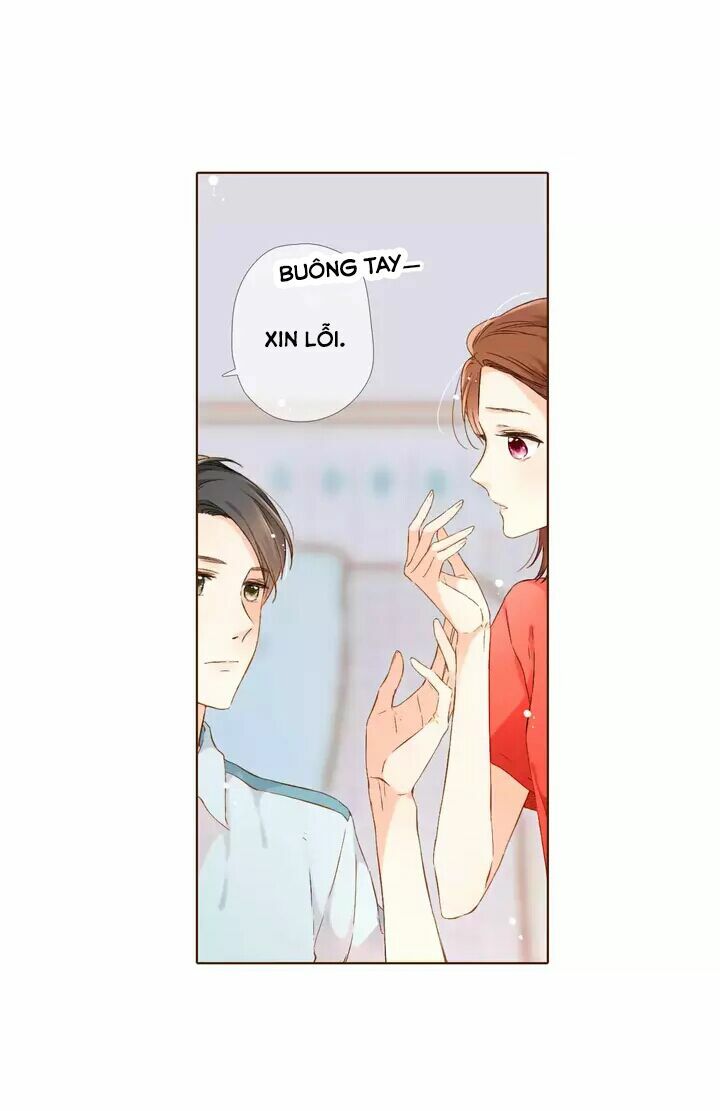 Tình yêu là màu hoa anh thảo chapter 29.3 4