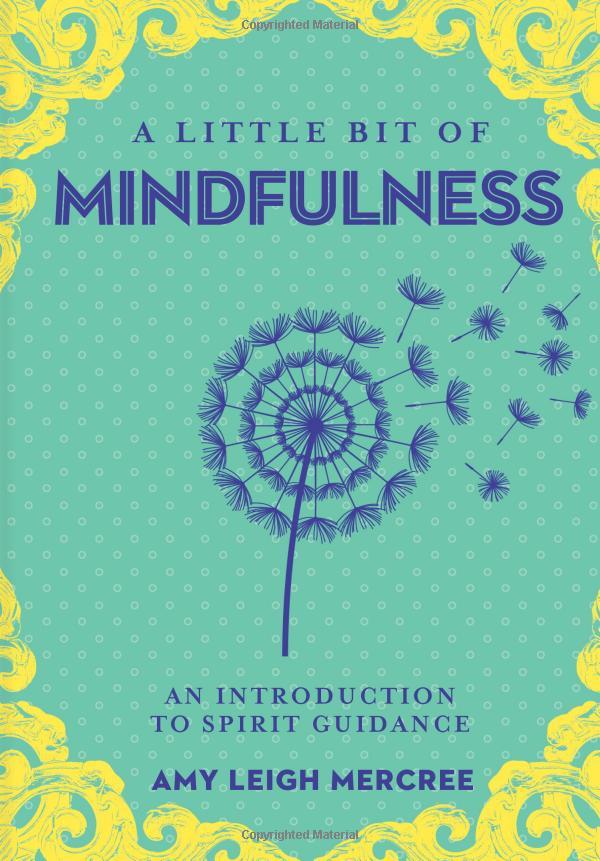 A Little Bit Of Mindfulness: An Introduction To Being Present