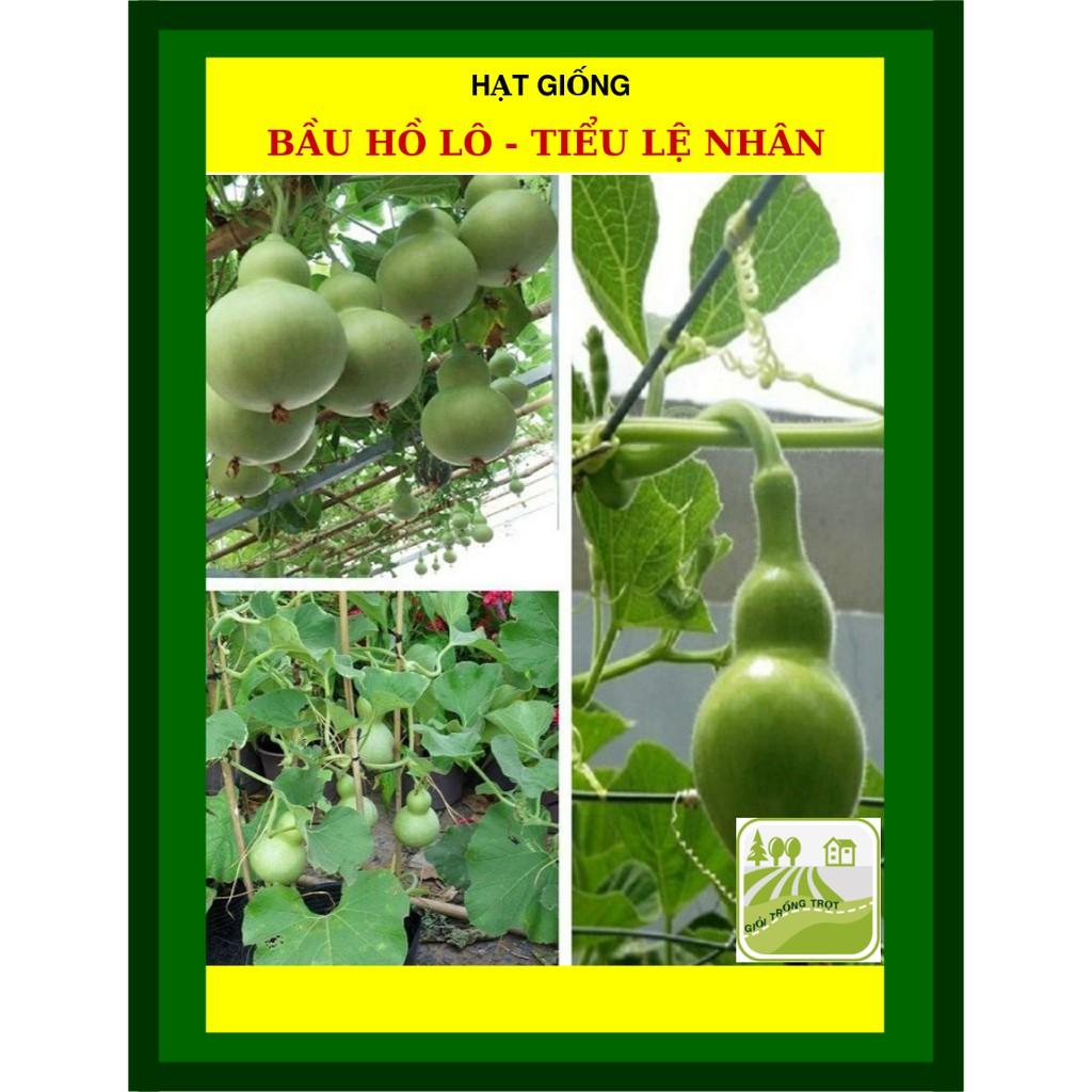 Hạt Giống Bầu Hồ Lô 10 hạt