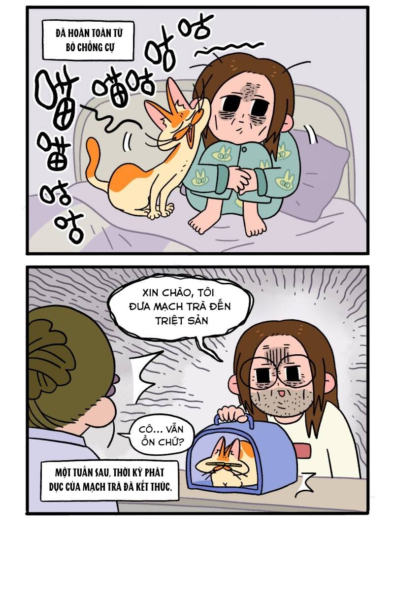 a mãn và mạch trà chapter 12.1 5