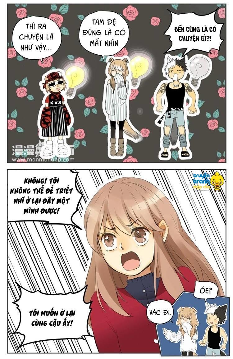 cứu mạng ! loài mèo thống trị thế giới rồi ! chapter 29 8