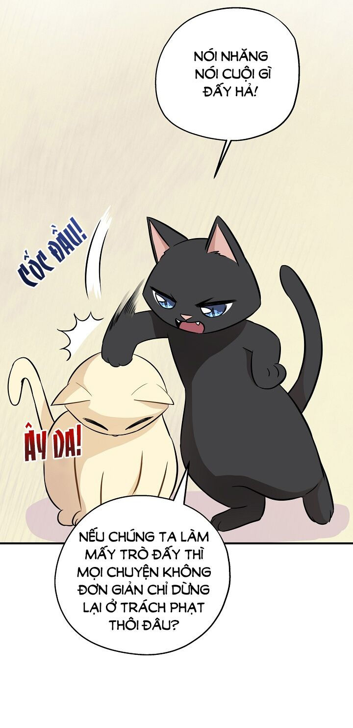 cuộc sống kỳ thú chapter 60 10