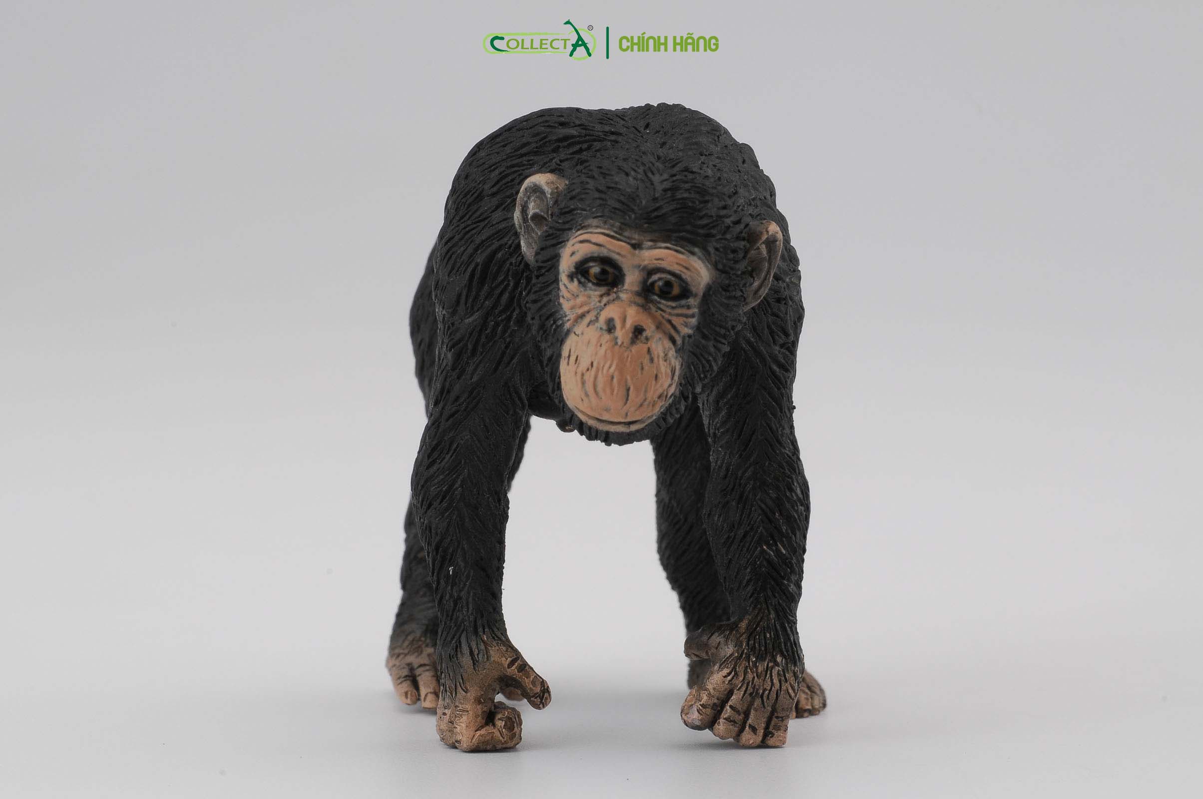 Mô hình thu nhỏ: Tinh Tinh mẹ - Chimpanzee Female, hiệu: CollectA, mã HS 9651030[88493] -  Chất liệu an toàn cho trẻ - Hàng chính hãng