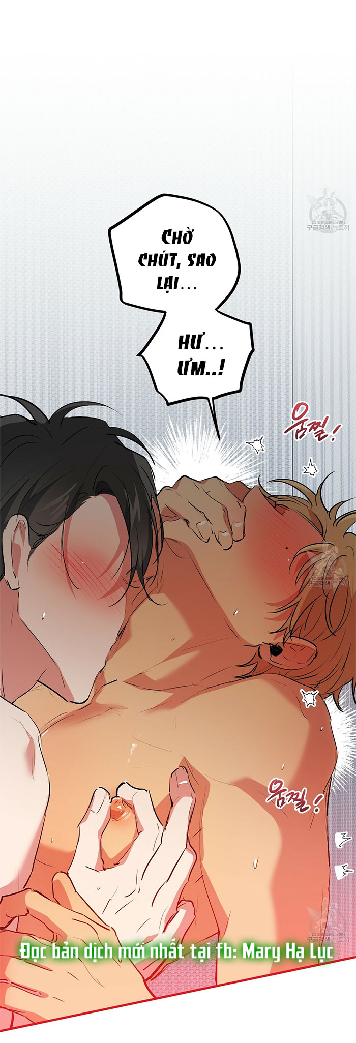 những chú thỏ của hapypy chapter 43 32