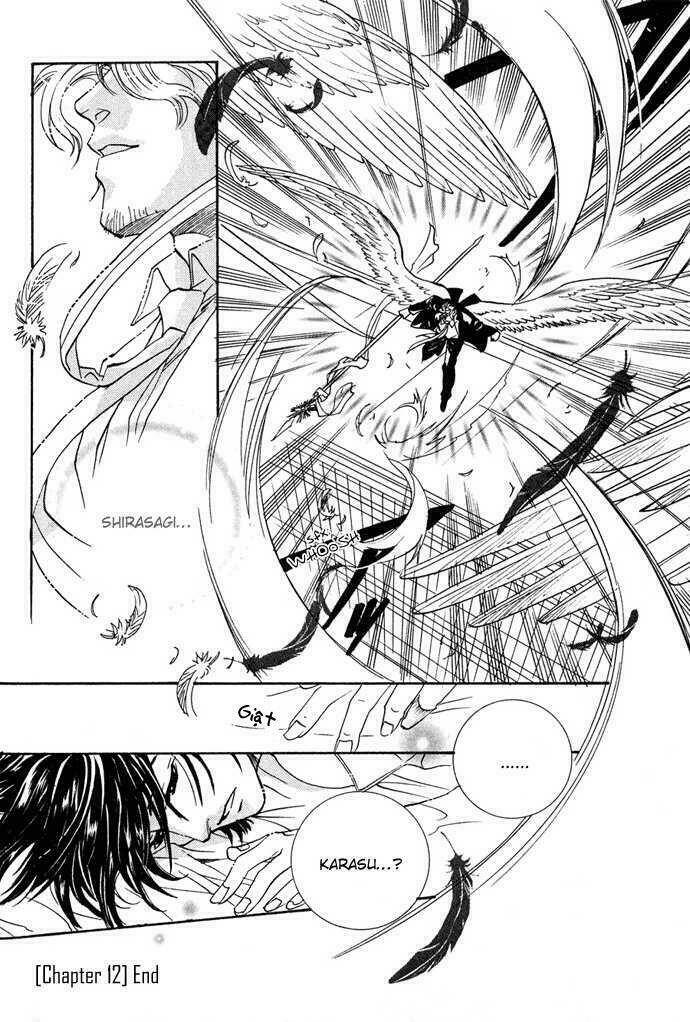 innocent bird chapter 12 31