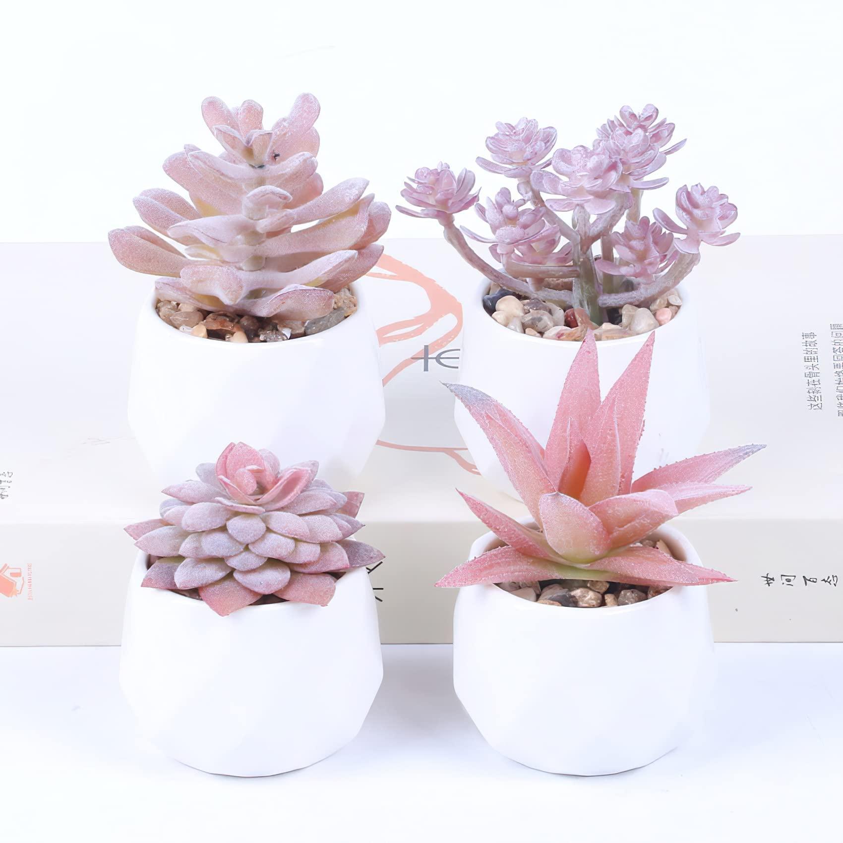 4 CÁI Cây mọng nước nhân tạo, Chậu cây giả mini có chậu trắng, Cây xanh giả trang trí bàn, nhà, văn phòng, trang trí ban công