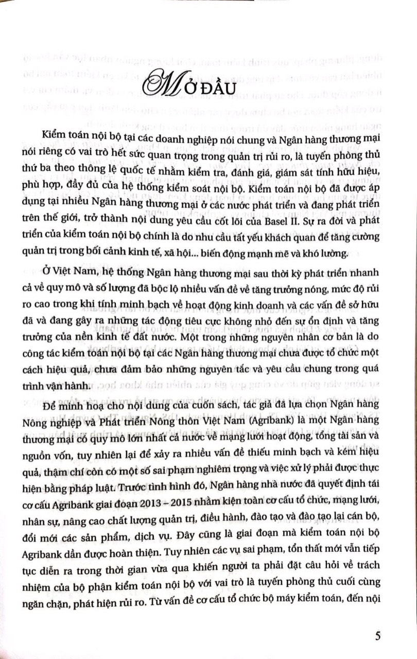 Kiểm Toán Nội Bộ Trong Các Ngân hàng Thương Mại Việt Nam - Nghiên Cứu Tại Agribank ( Sách Chuyên Khảo)