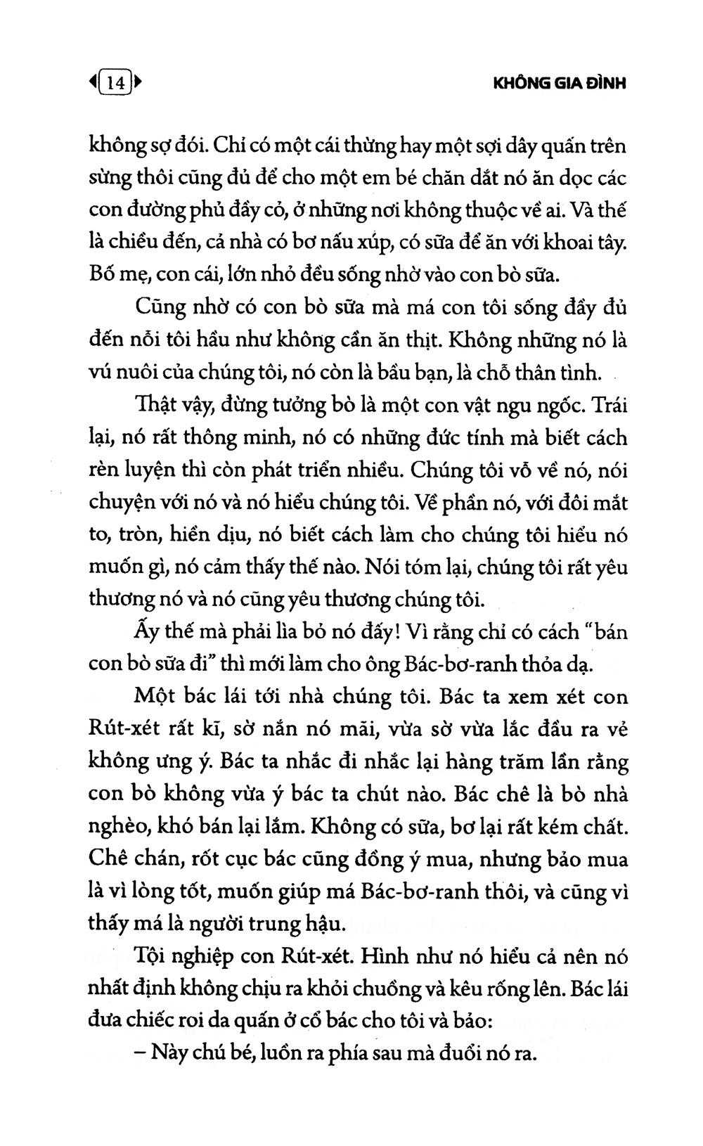 Không Gia Đình (Tái Bản 2022)