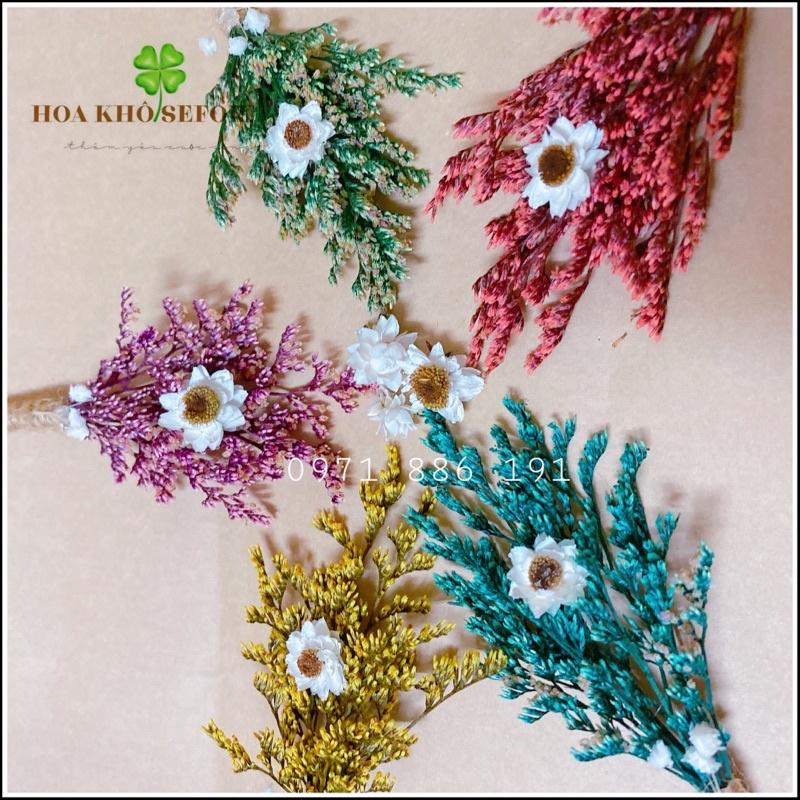 Bó hoa sao khô mini ️Bó hoa khô mini trang trí, decor chụp ảnh